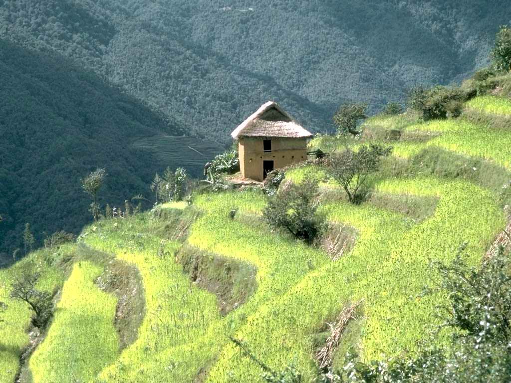 Small House On Slope Wallpaper