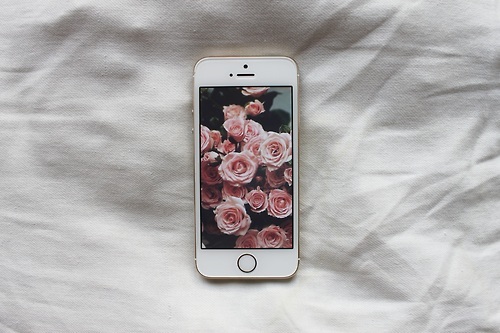 iPhone 5s Rose Gold