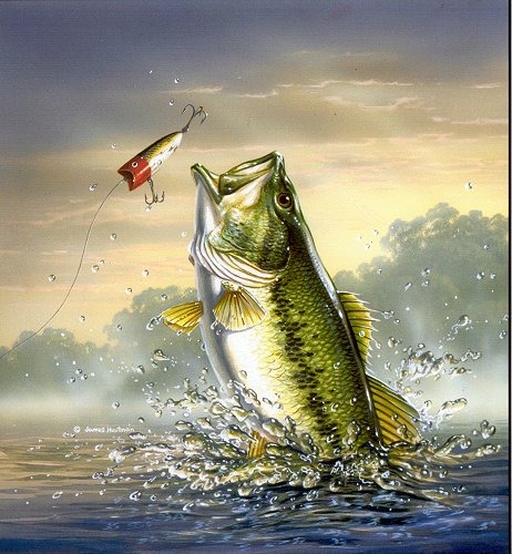 Largemouth Bass Is Catching A Jumping Wallpaper