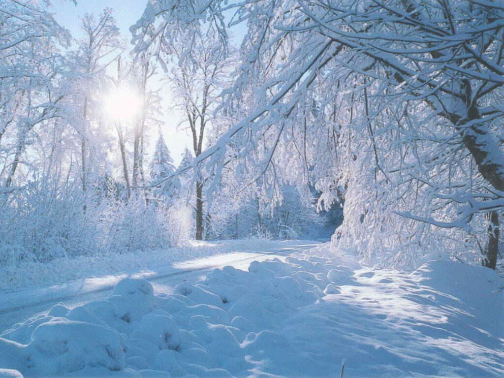 Winter Wallpaper Beautiful Nature Pics