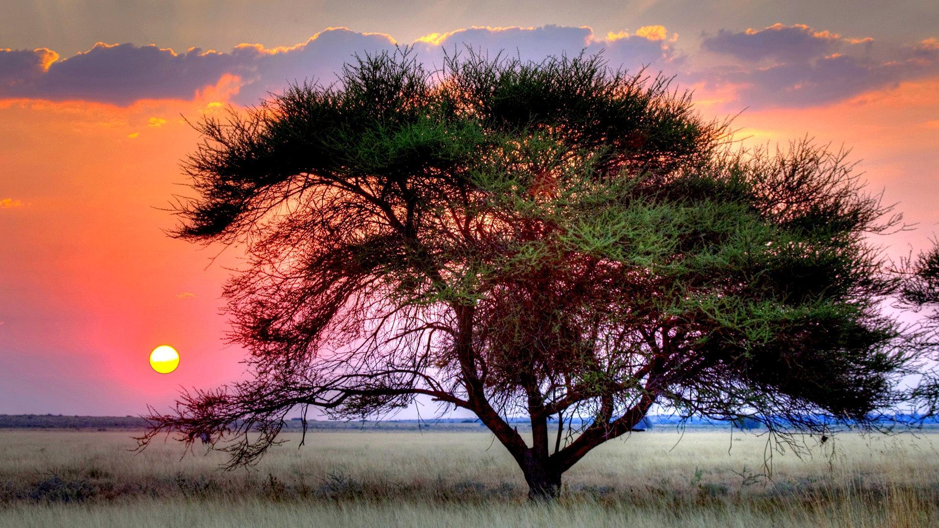 Sunset Over Kalahari HD Desktop Wallpaper Widescreen High