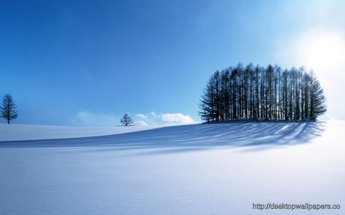 Winter Snow Scenery Widescreen HD Wallpaperdesktop Wallpaper