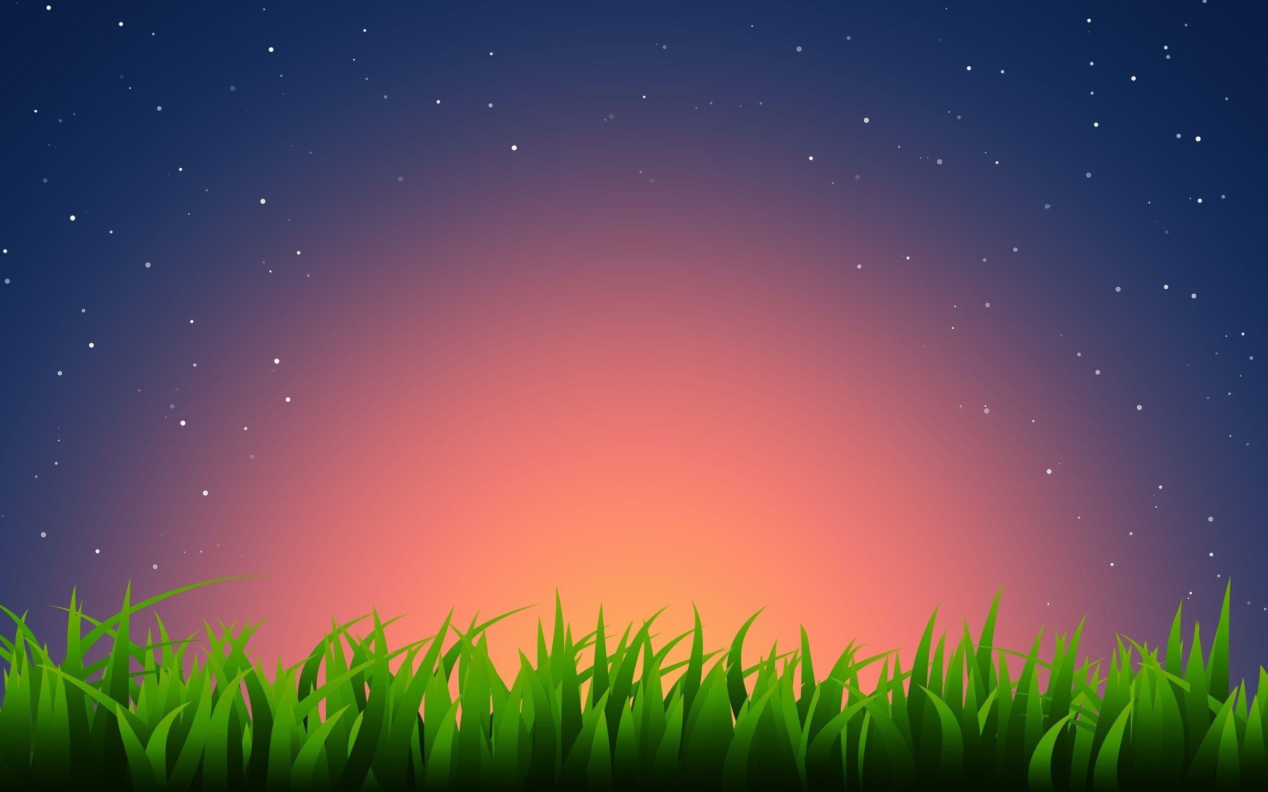 Grass Under The Night Sky Wallpaper Spring