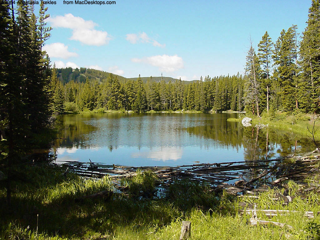 Medicine Bow Forest Lake Wallpaper Paysages