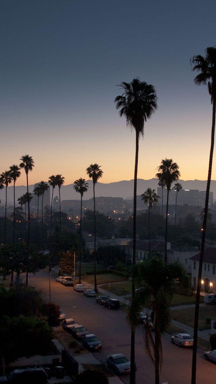 Los Angeles Palm Trees Wallpaper On