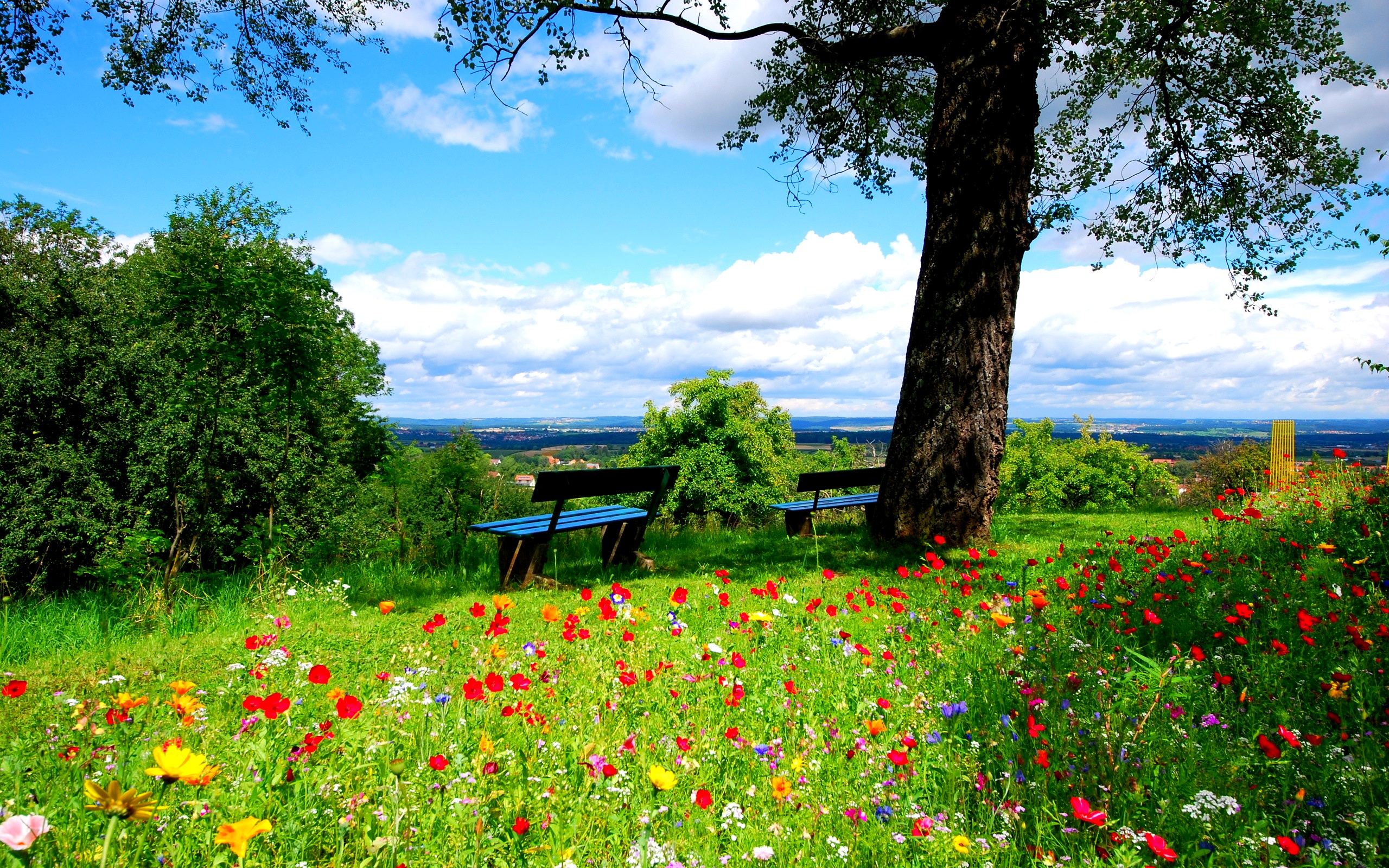 Beautiful Nature Background