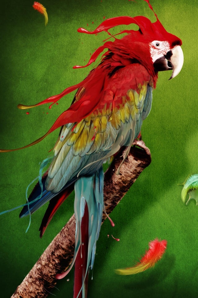 HD Cool Color Parrot iPhone Wallpaper Background