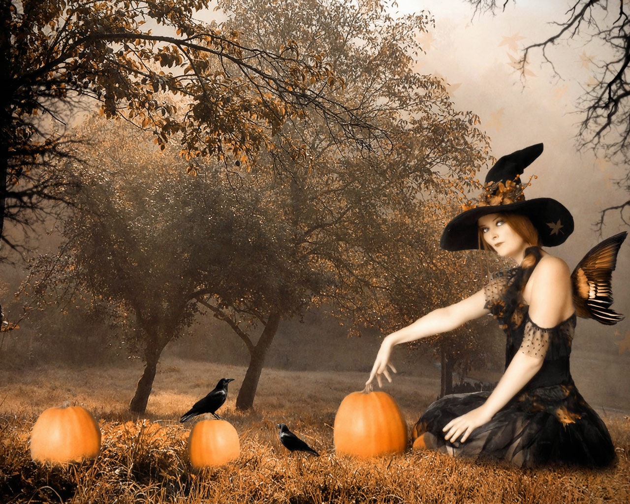 Halloween Witch Desktop Backgrounds Images Pictures   Becuo 1280x1024