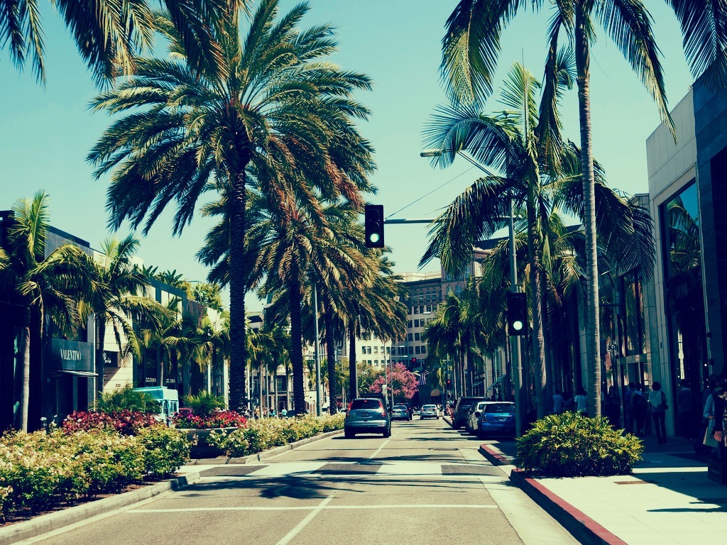 Rodeo Drive Palm Trees Wallpaper Beverly Hills Photo Shared By Rudy22