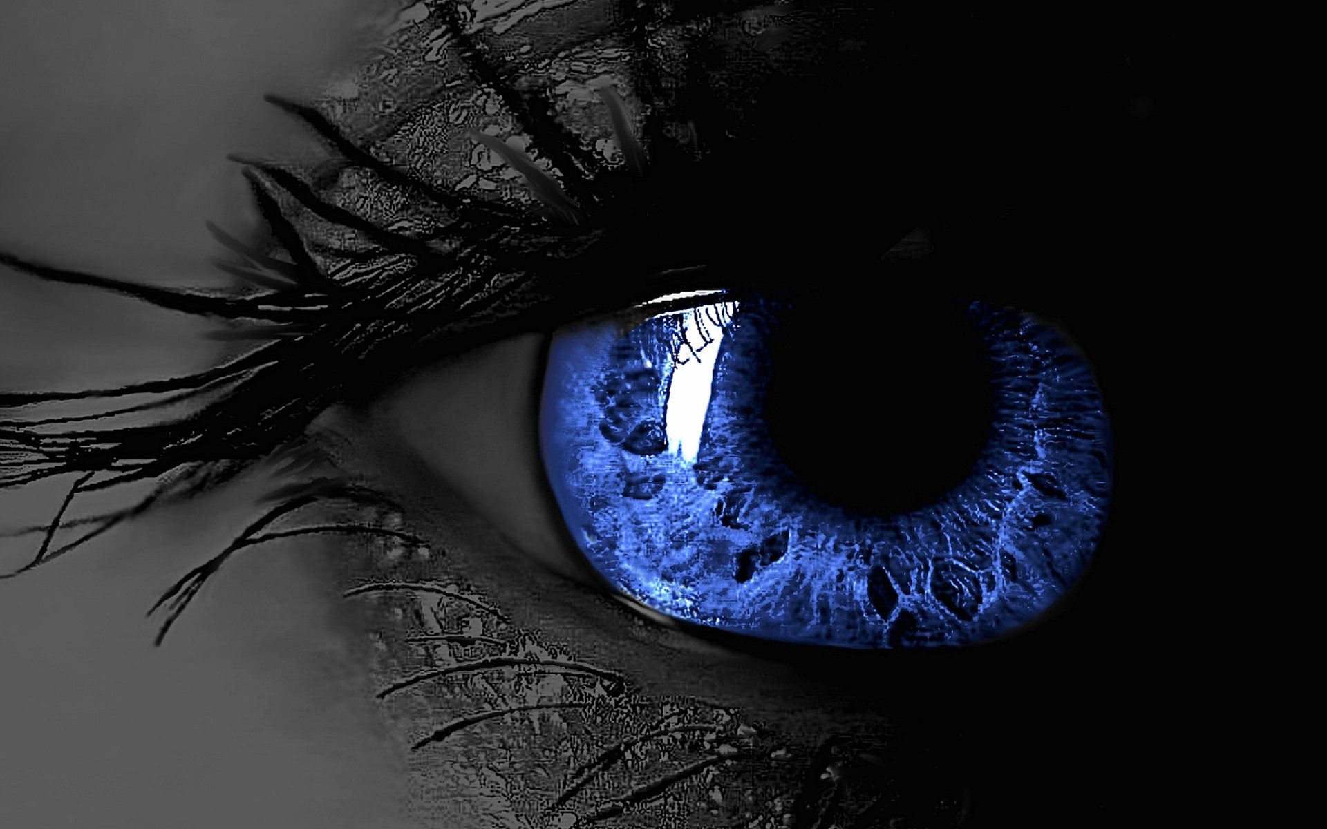 Blue Eye Widescreen HD Wallpaper