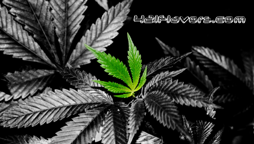 Cool Weed Leaf Marijuana Wallpaper Background