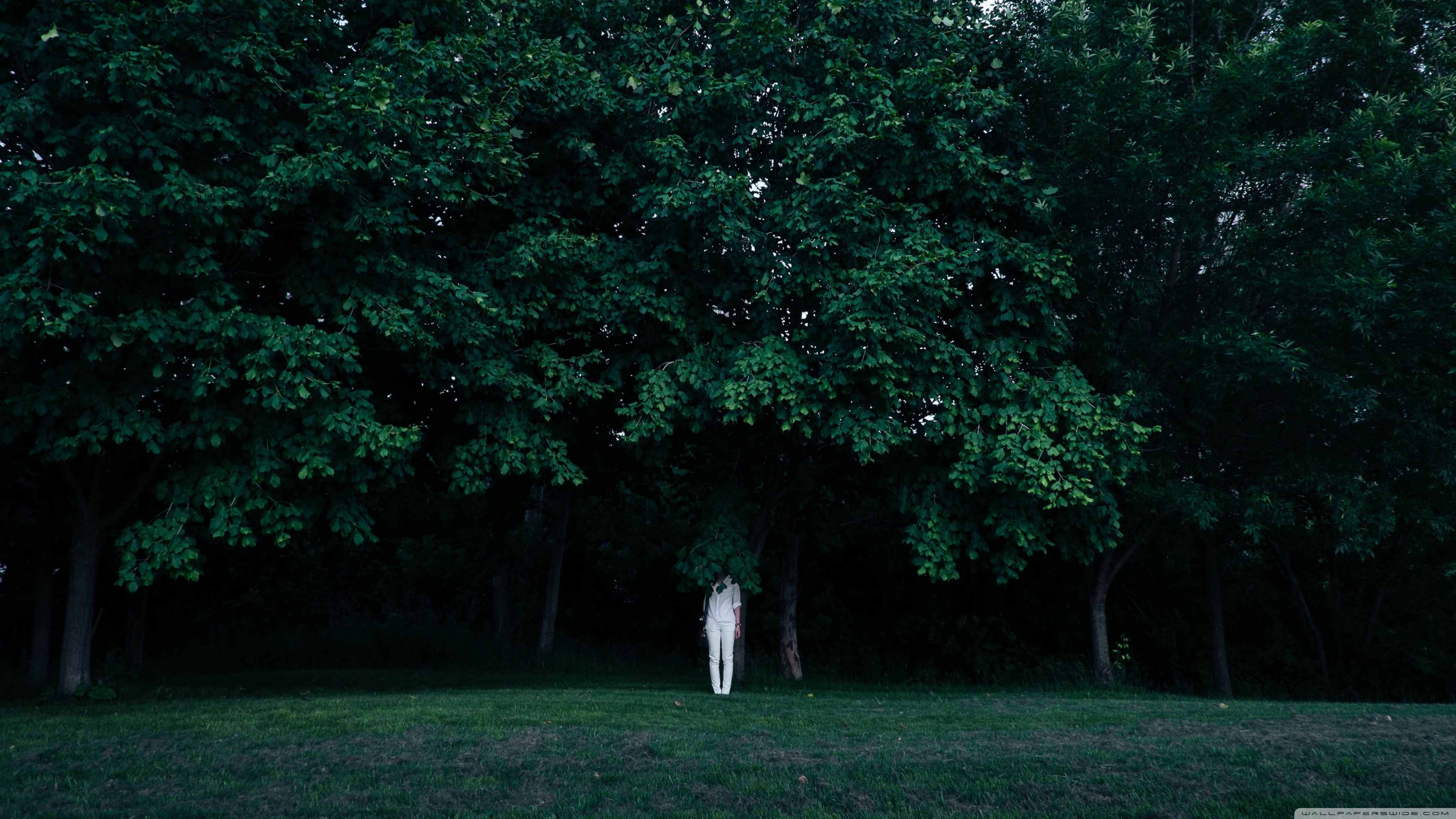 🔥 [46+] Hiding Wallpapers WallpaperSafari