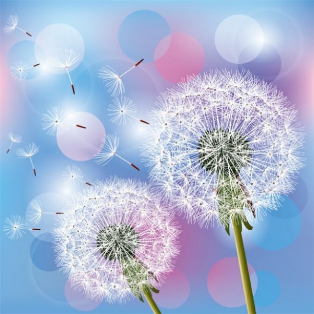 Floating dandelion seeds with bubbles background Vector Free