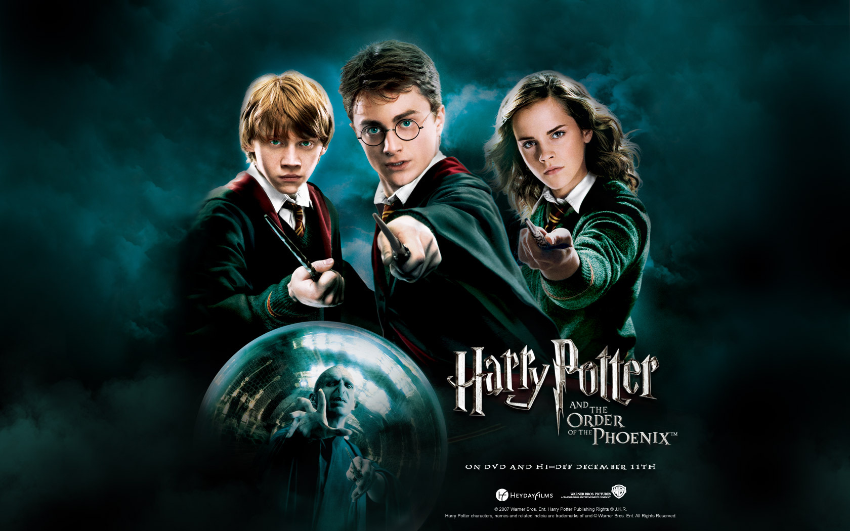 Order Of The Phoenix Harry Potter Wallpaper