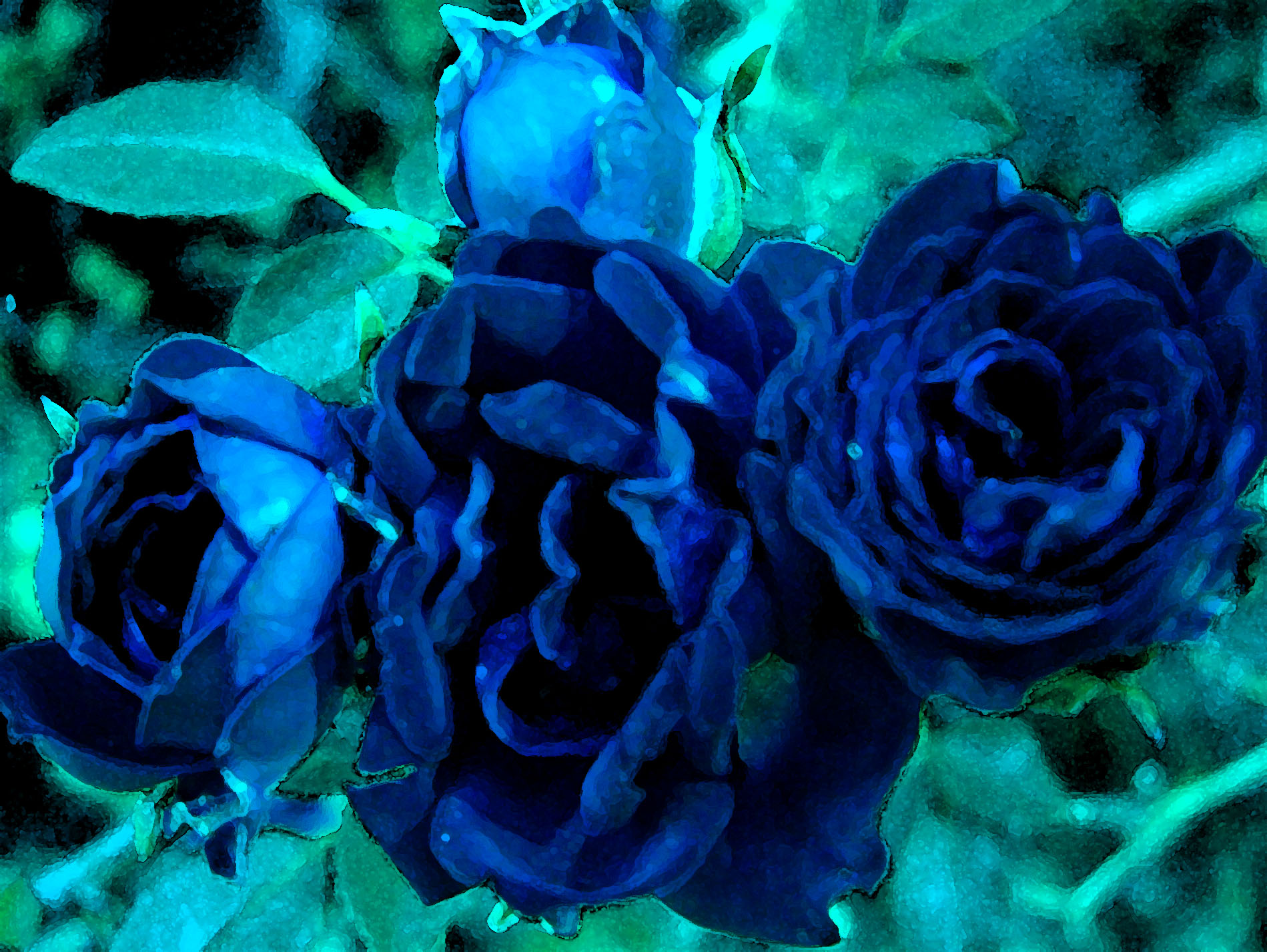 Yellow Rose Wallpaper Blue Roses
