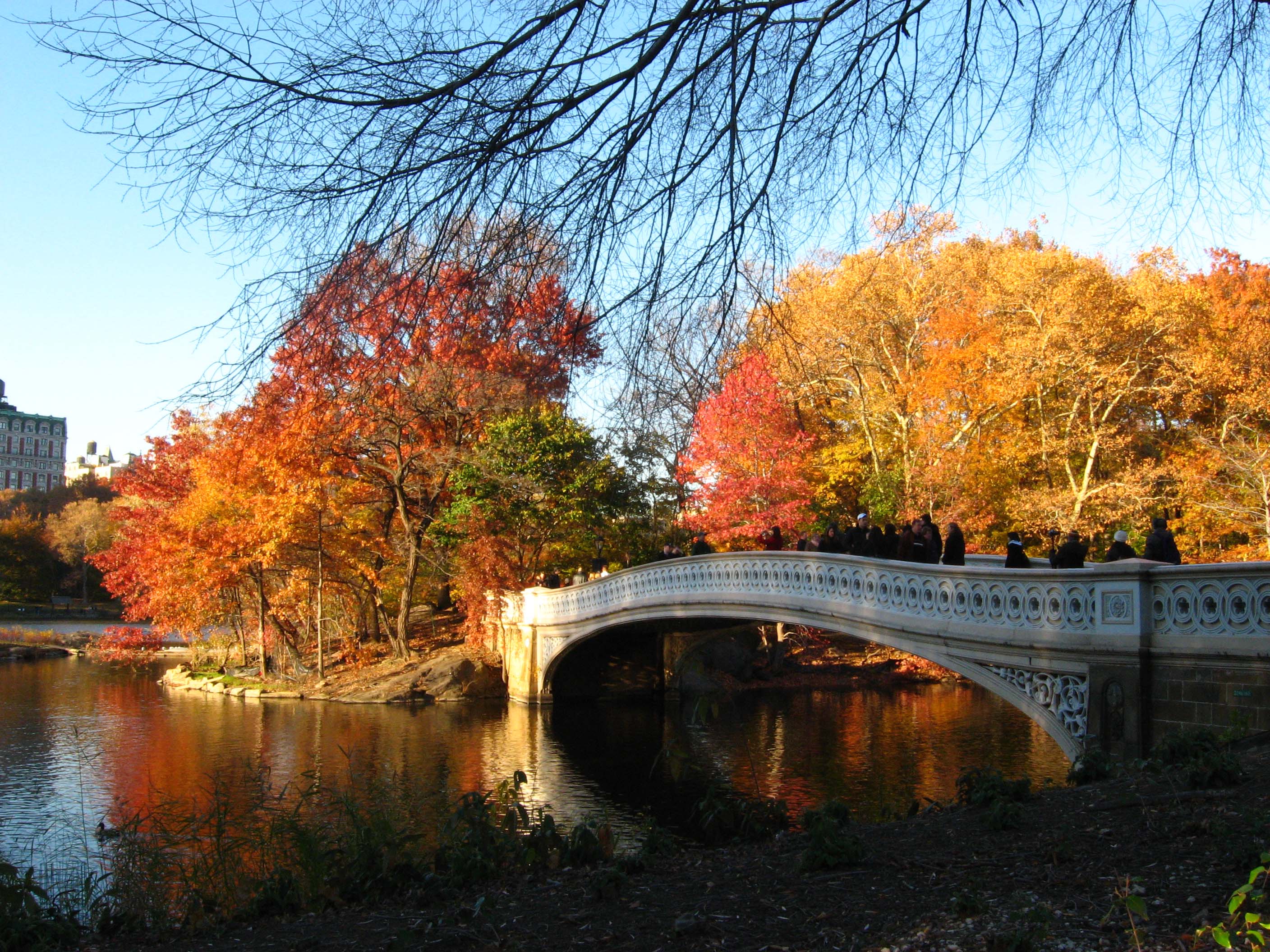 Fiery Autumn At Bow Bridge Central Park Photos