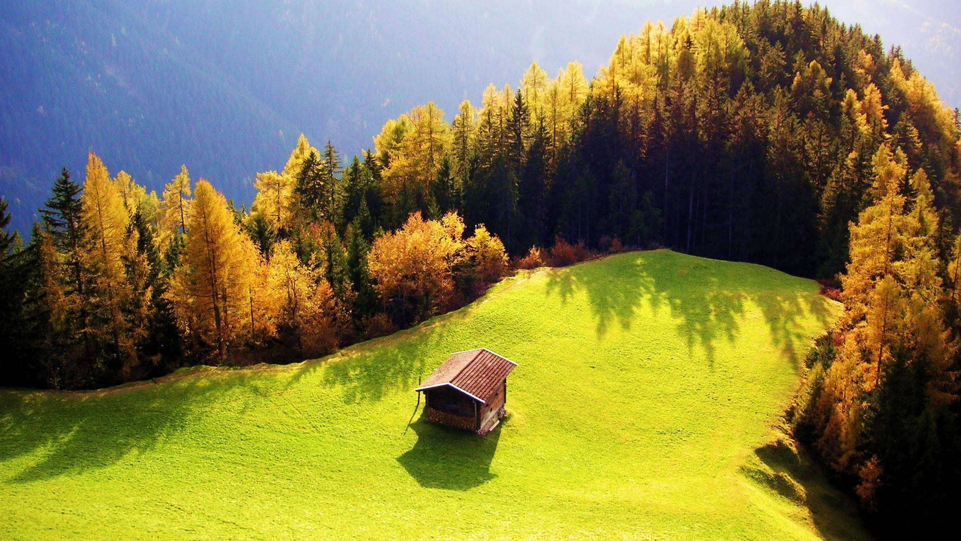 Full HD Nature Wallpaper