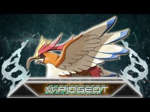 Pokemon Oras Ou Showdown Live Enter Mega Pidgeot