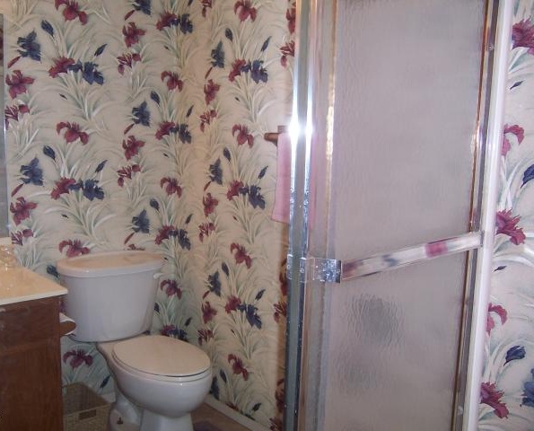 outdated gaudy wallpaper bathroom blue red irises Chandler Arizona