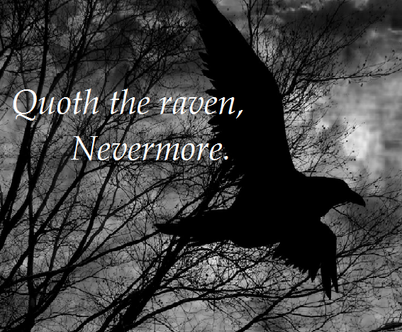 Nevermore Poe Wallpaper By Frosteddolphins