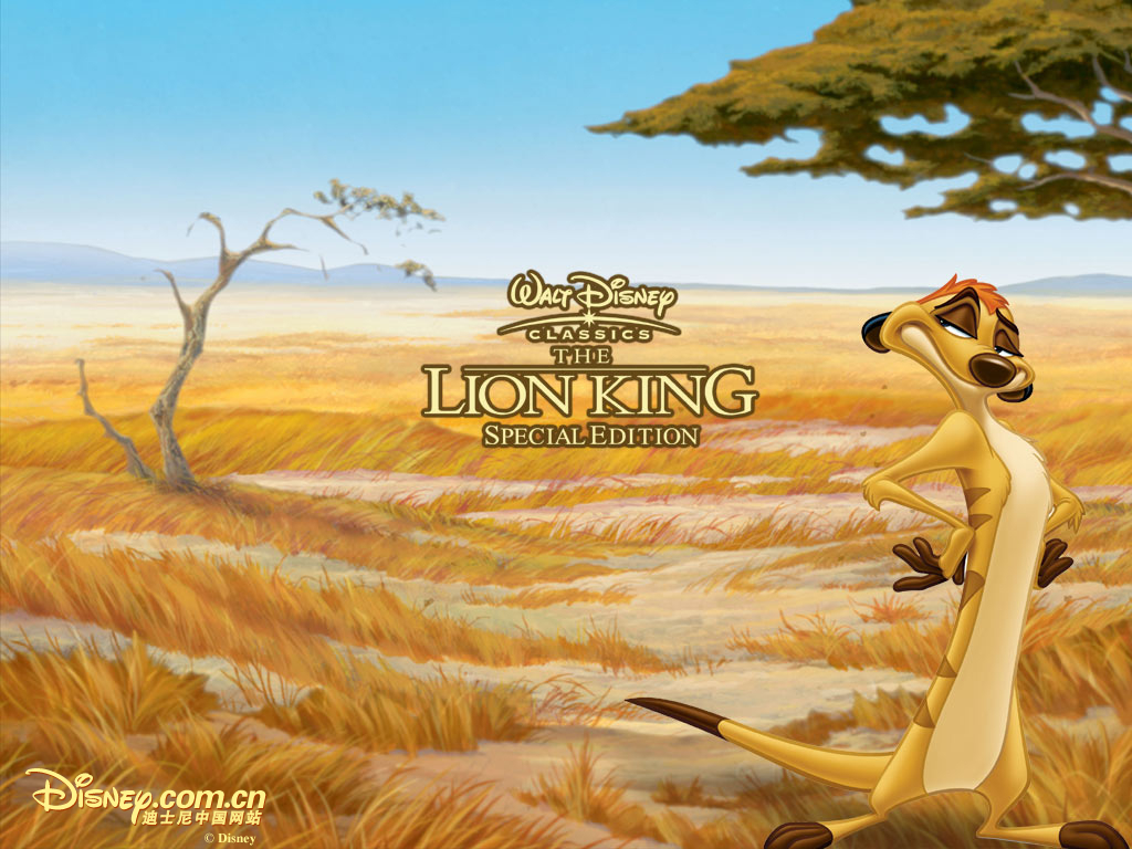Timon The Lion King Wallpaper