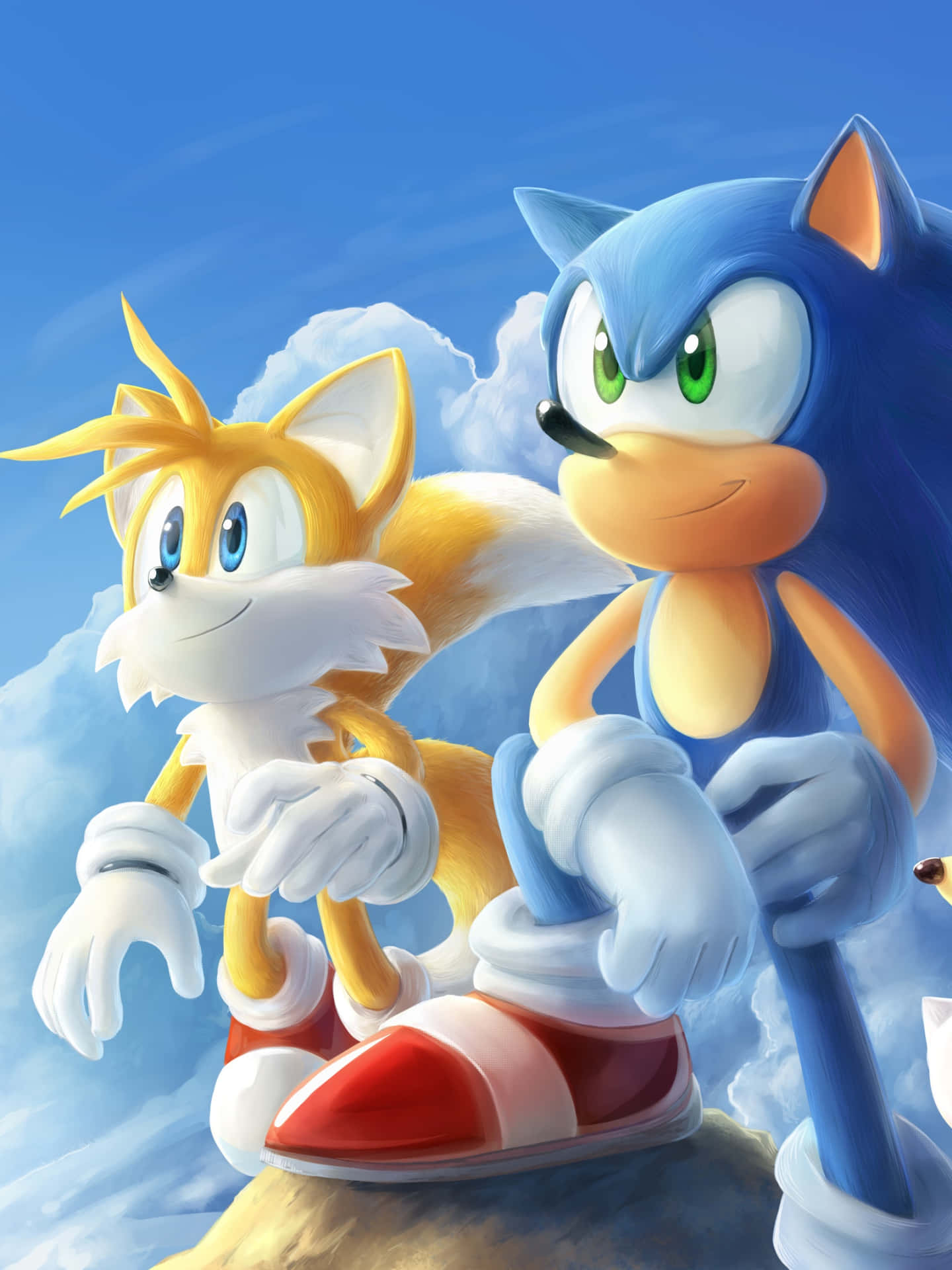 Tails Lebr4kbxzkw4xixd Wallpaper