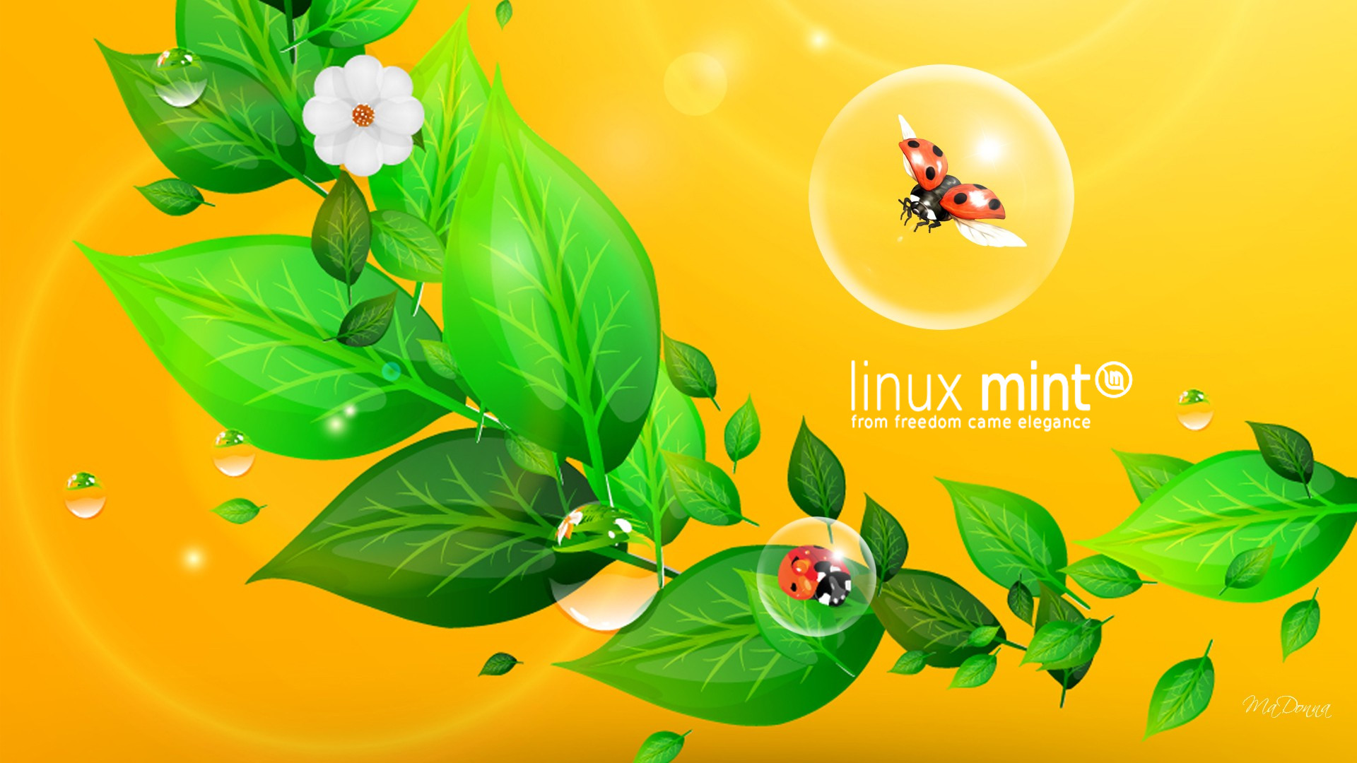 My Minty Wallpaper Collection Linux Mint Forums
