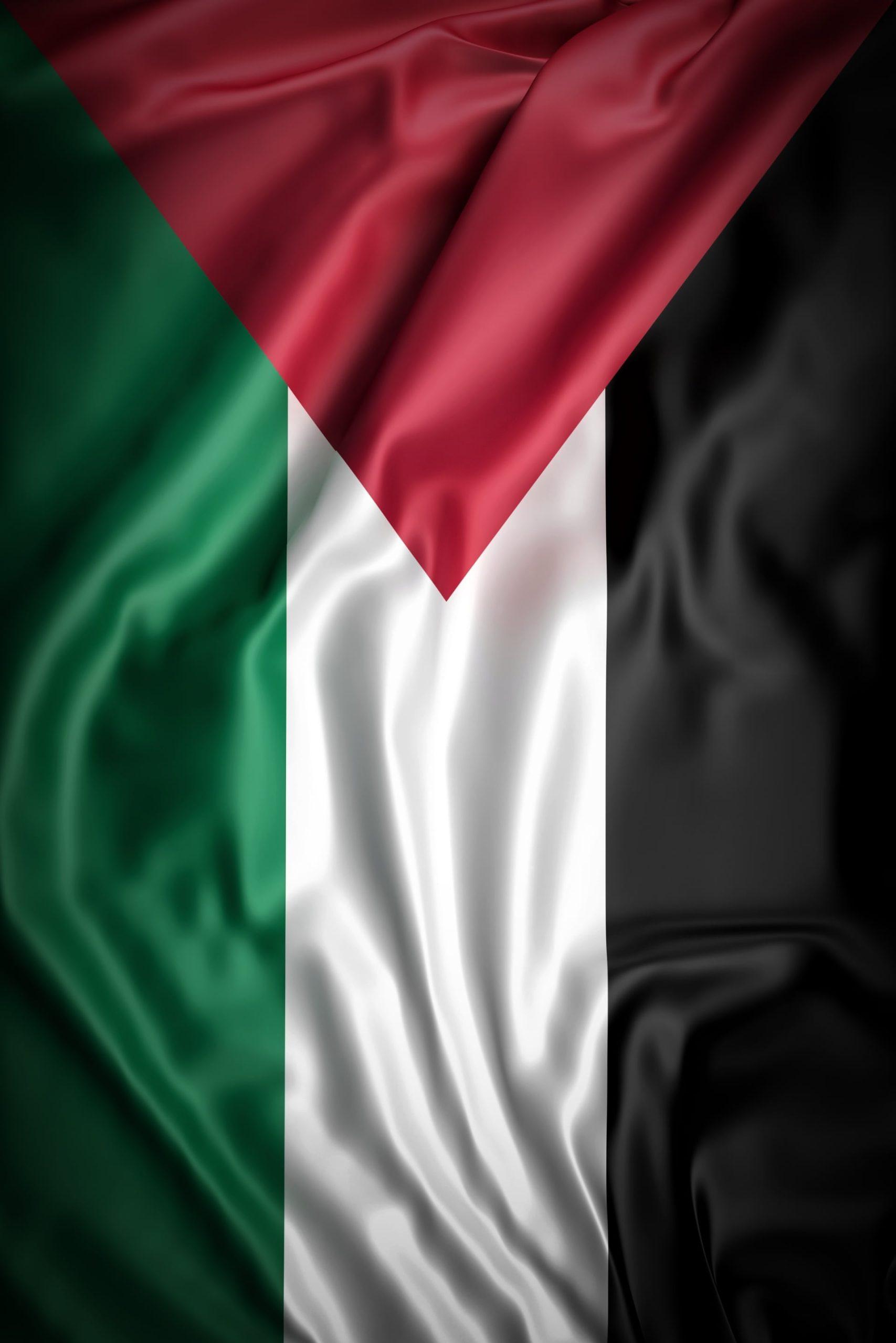 Palestine Flag Dark Beautiful HD Phone