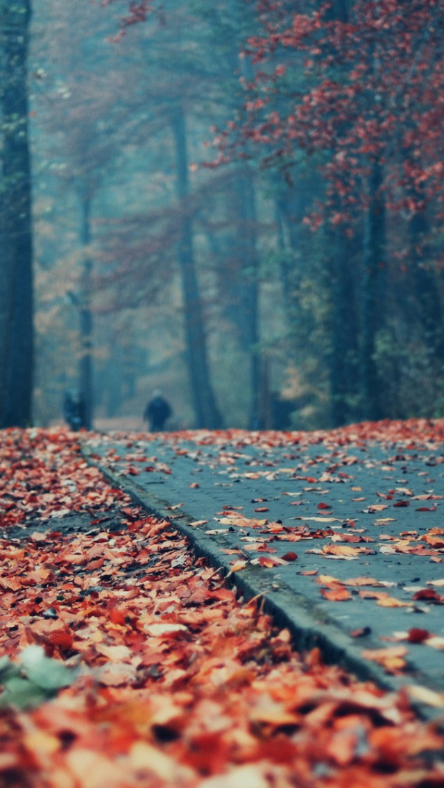 Deck Autumn Leaves iPhone 5s Wallpaper