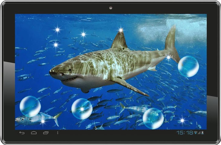 All about Shark Sea Reef live wallpaper for Android Videos