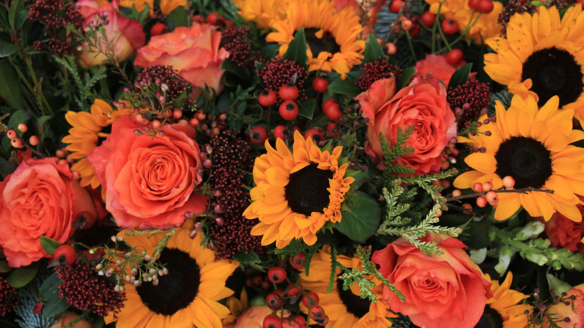 Sunflowers And Roses Yl8d35kdw5b9veqw Wallpaper