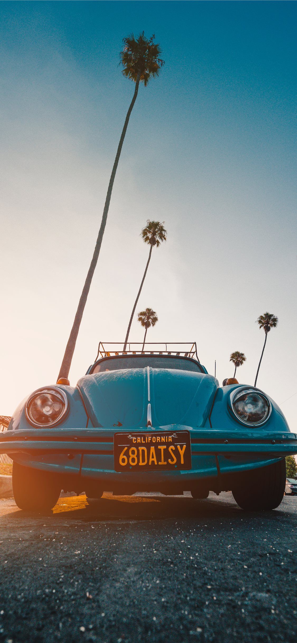 California Aesthetic Wallpaper