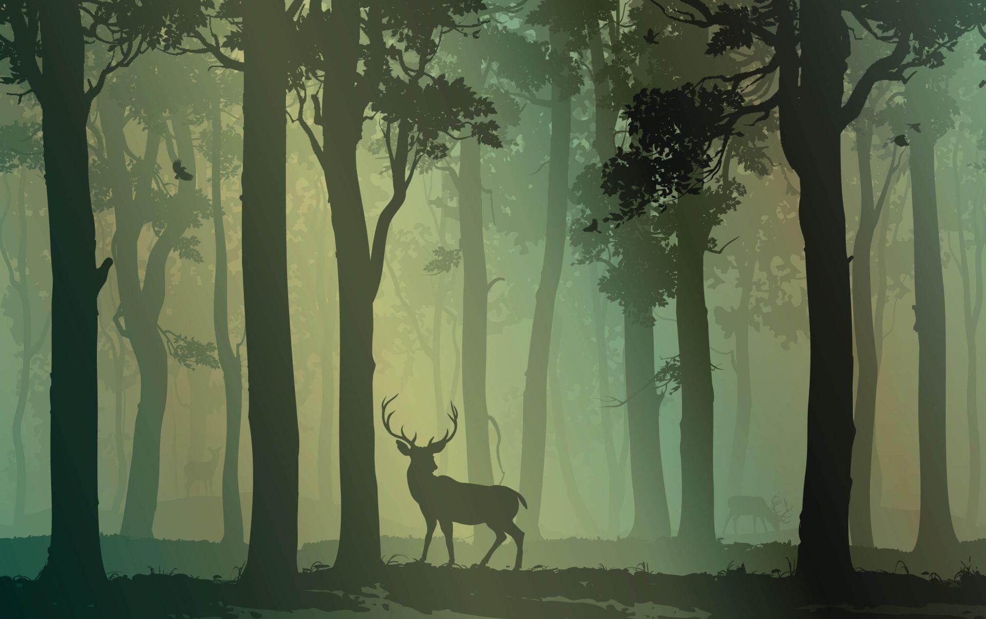 Deer In Forest Wallpaper