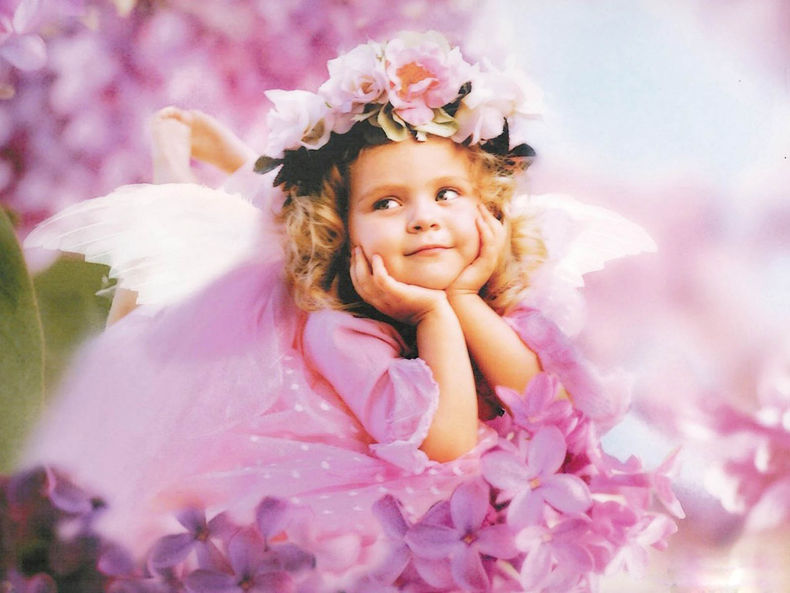 Desktop Wallpaper Angel Babies Background
