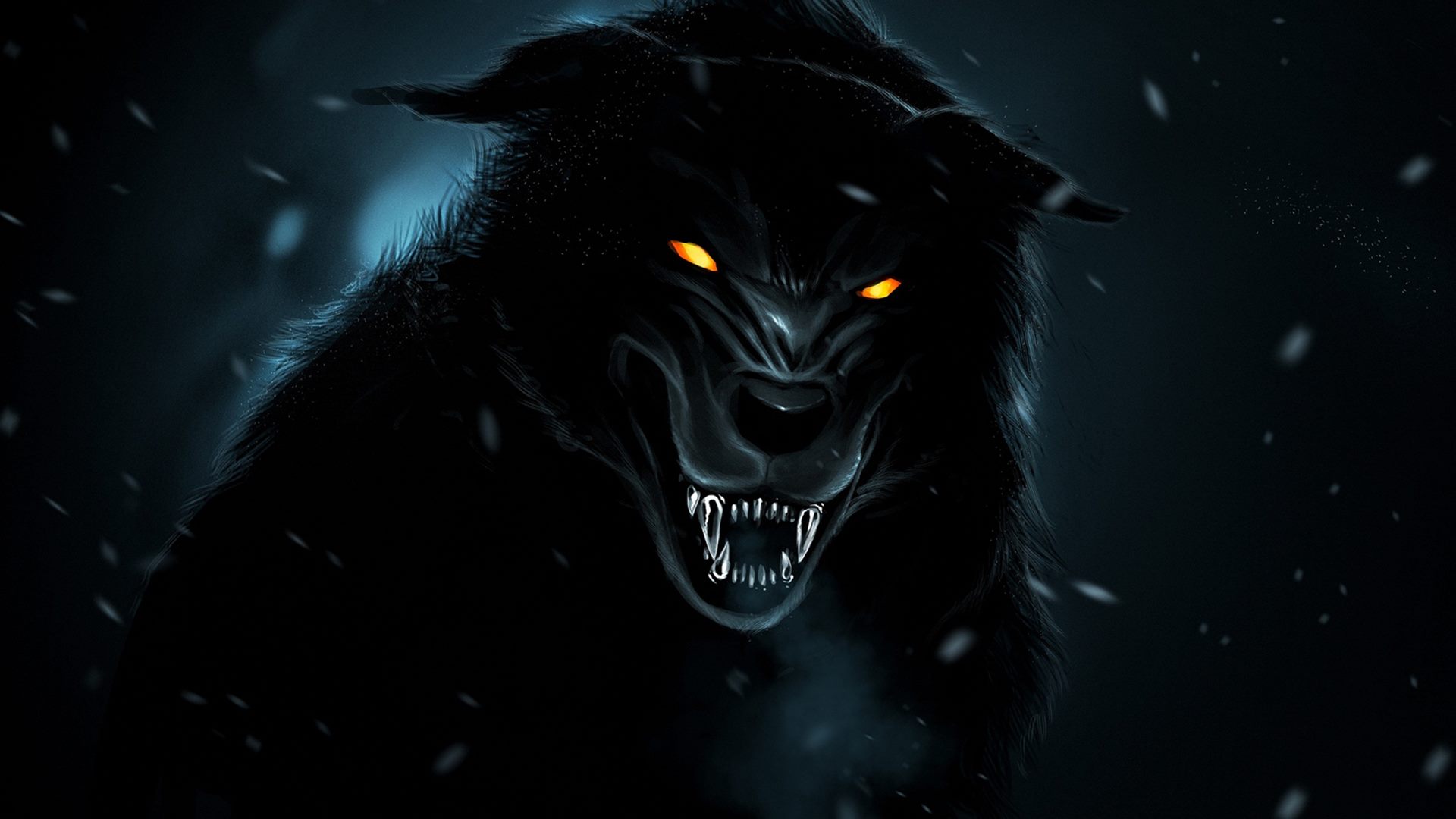 Black Wolf Wallpapers Hd