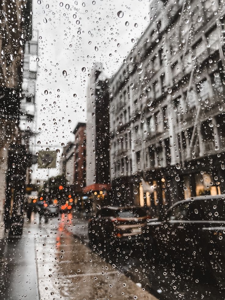 City Rain Pictures  Download Free Images on Unsplash