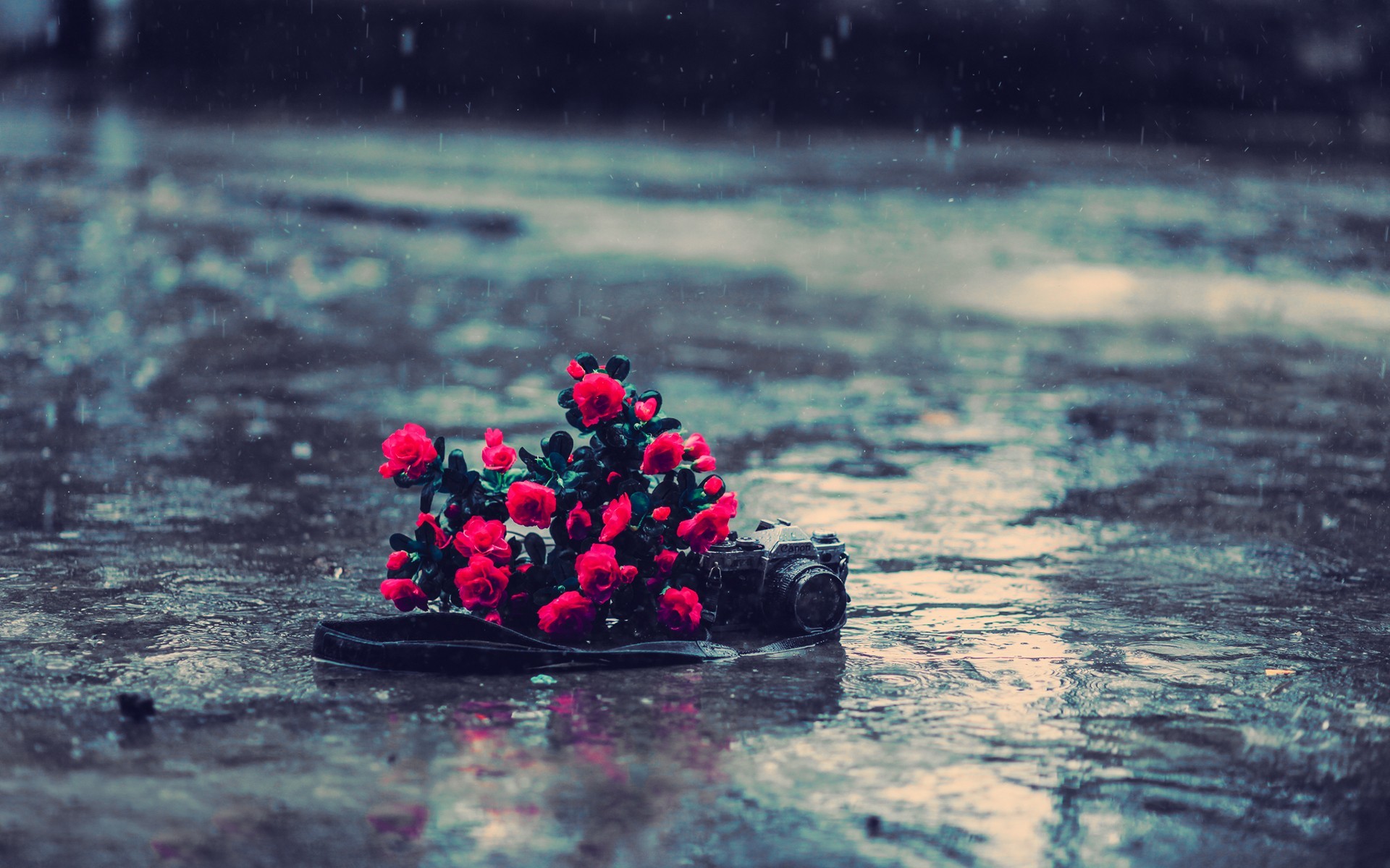 A poignant scene of a miniature camera and a bouquet of vibrant pink flowers lying on a rain-soaked surface, capturing the melancholic beauty of a rainy day