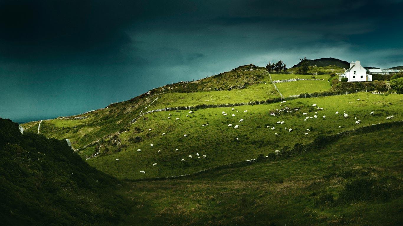 Bing Images   Sheeps Head   Sheeps Head Ireland Ben Hupfer