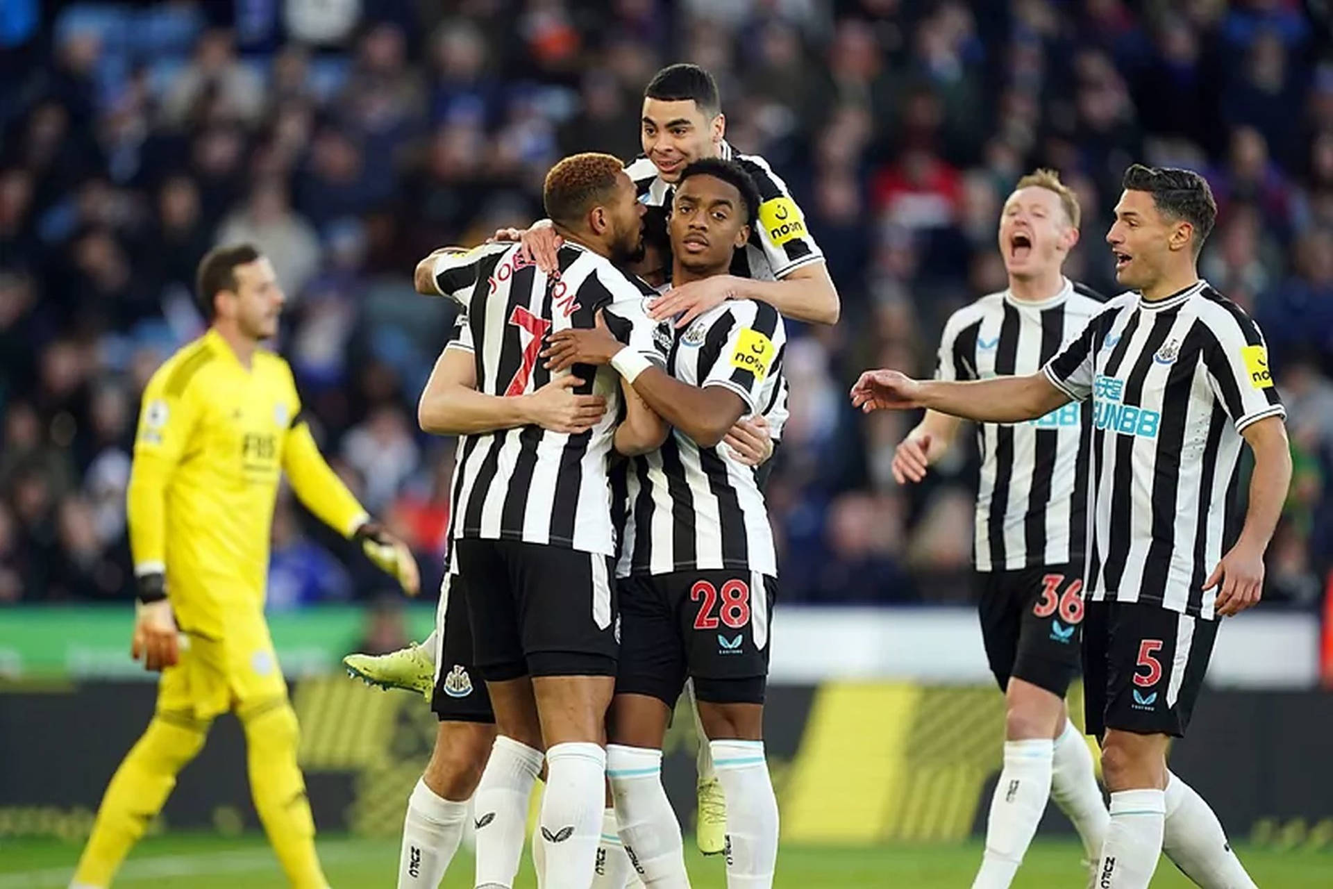 Newcastle United Fc Wallpaper
