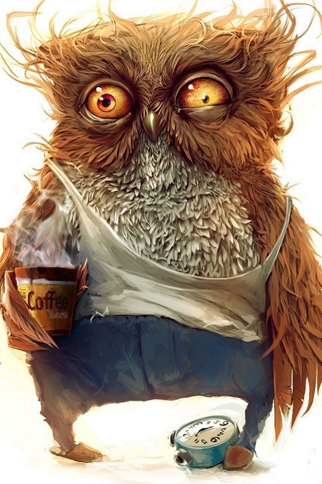 funny owl wallpaper iPhone 4s Wallpapers Download 640x960