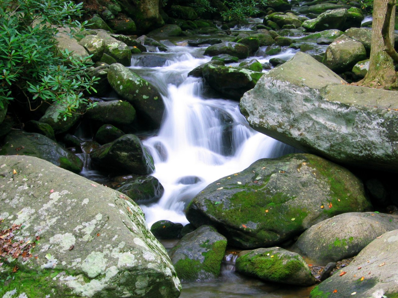 Tennessee Usa Nature Photography Computer Desktop Wallpaper