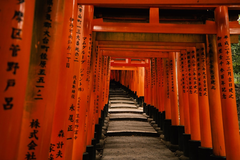 Torii Gate Pictures Image