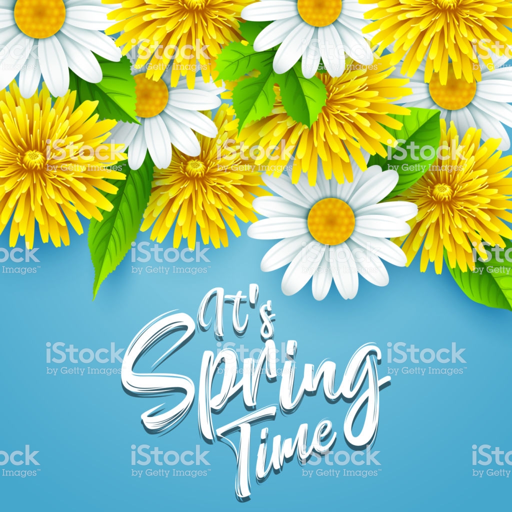 Spring Springtime Background Greeting Card Invitation Happy Day