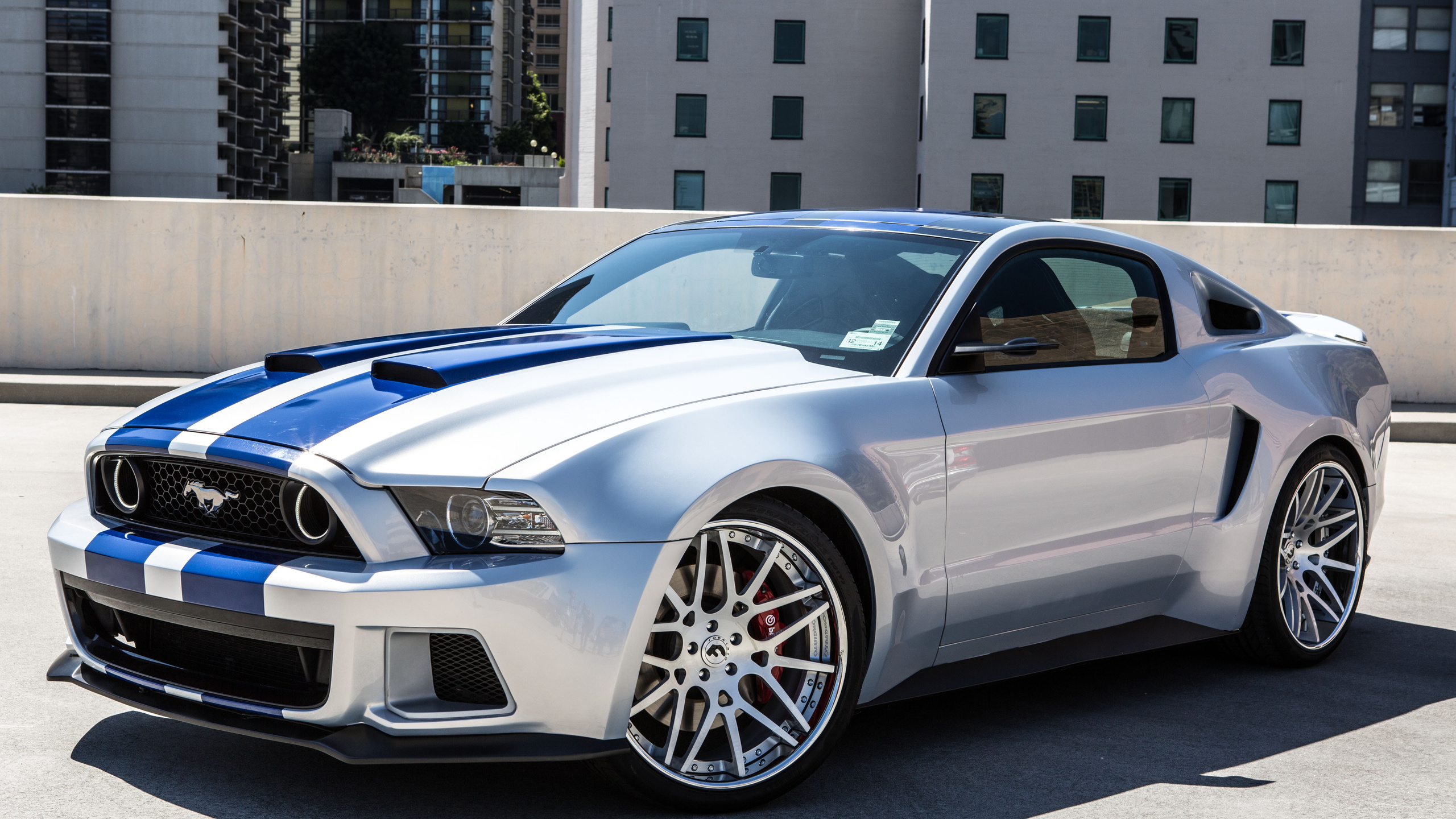 Ford Mustang Shelby HD Wallpaper Background Image