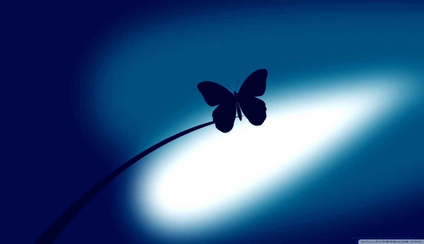 Blue Butterfly Desktop Wallpaper Top