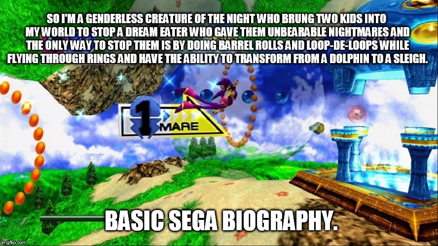 Basic Sega Biography NiGHTS Into Dreams by thekirbykrisis on