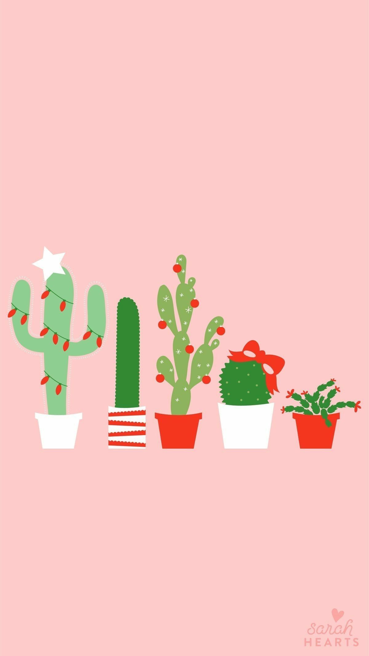 Cheerful Christmas Cactus iPhone Wallpaper Winter