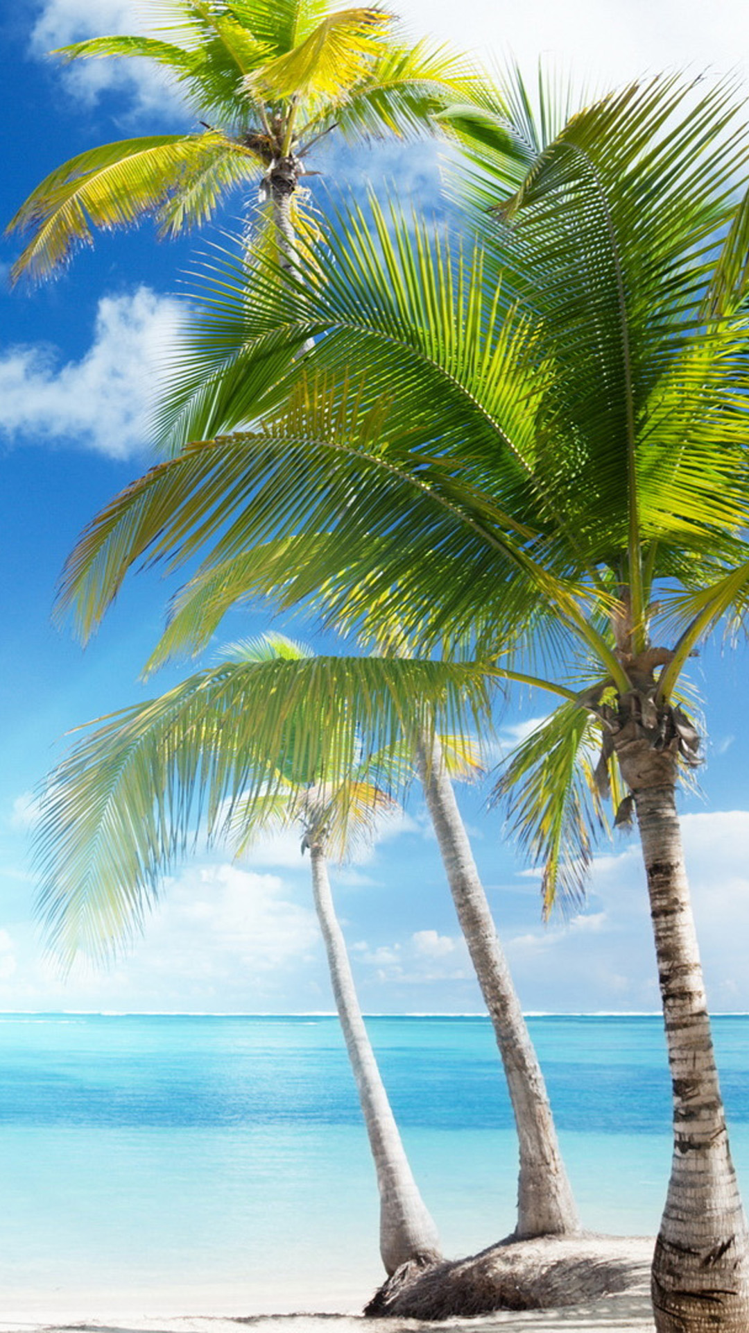 Beach iPhone Background Wallpaper