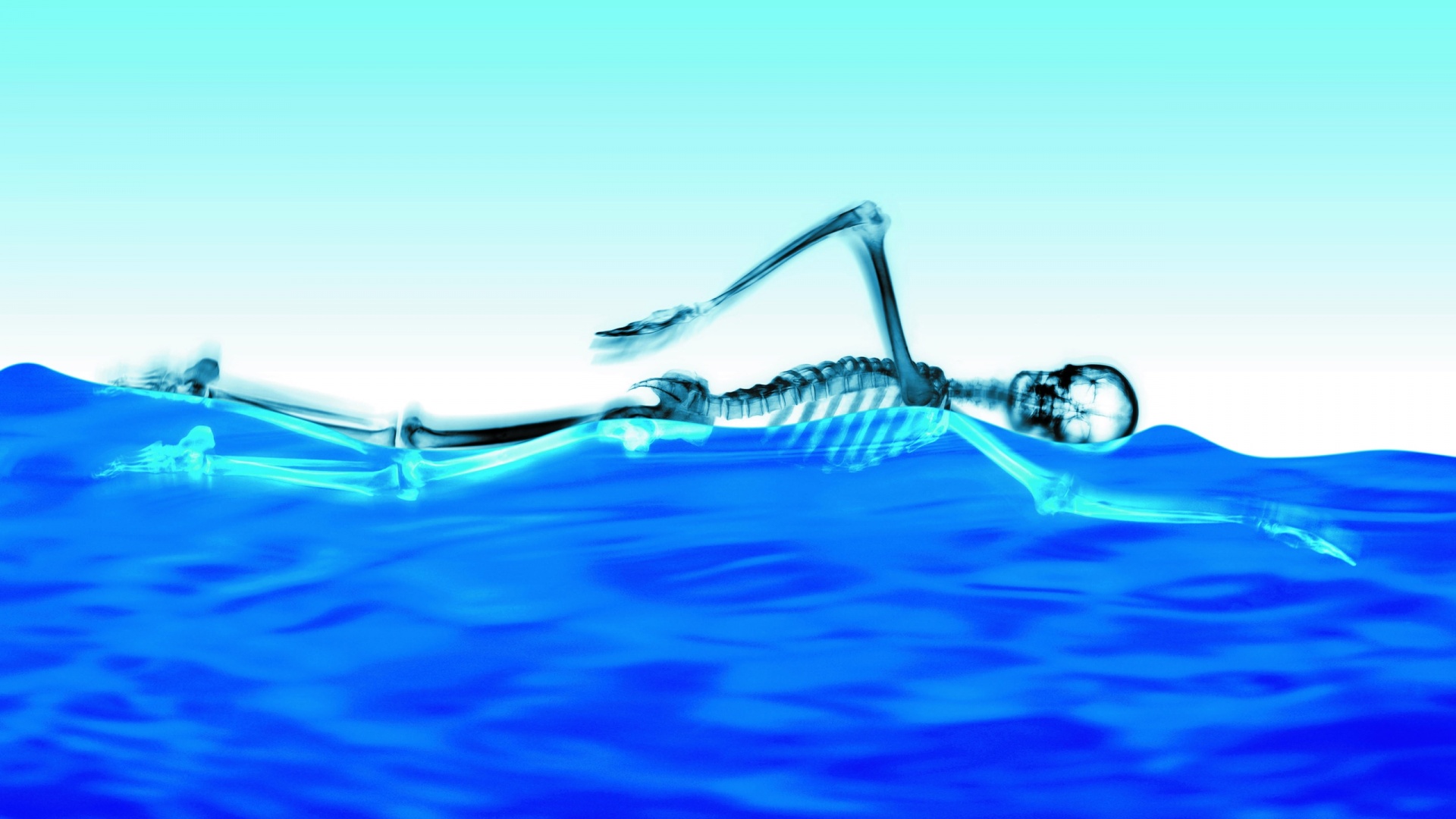 1920x1080 Swimming Skeleton desktop PC and Mac wallpaper 1920x1080