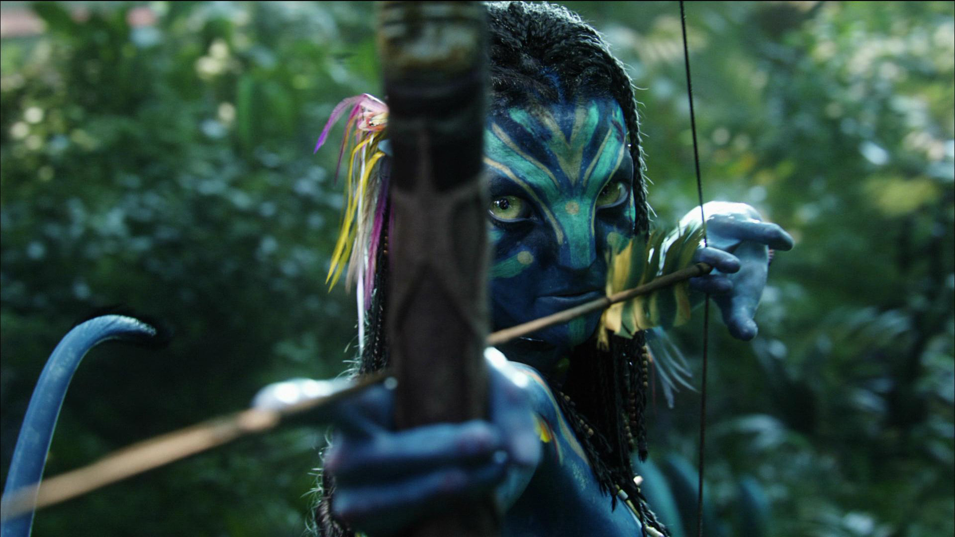 Movies Avatar Bow And Arrow HD Wallpaper Tv